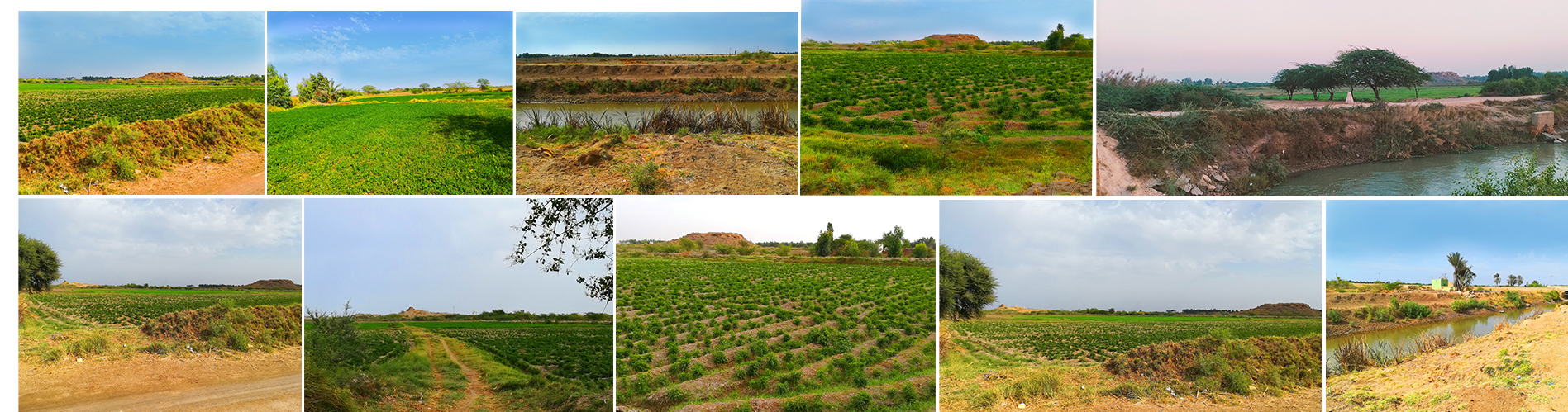 Farm Image 1